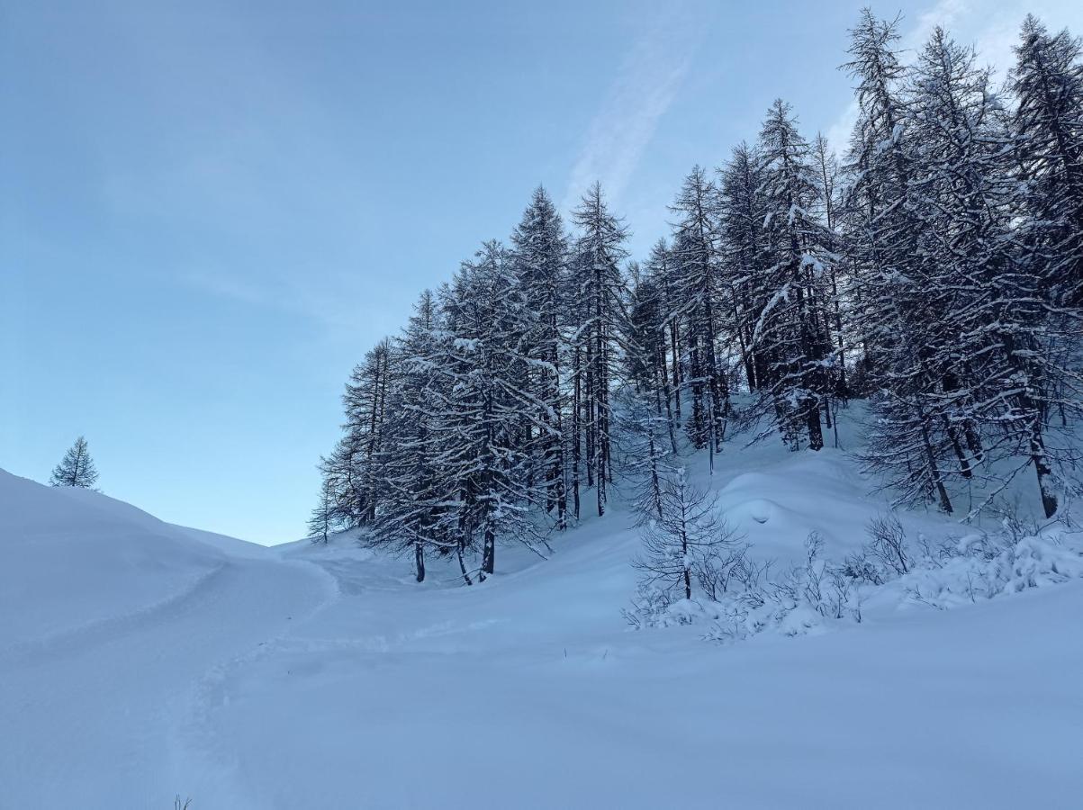 Le Schuss Montagne En Bas Des Pistes Vars (Hautes-Alpes)