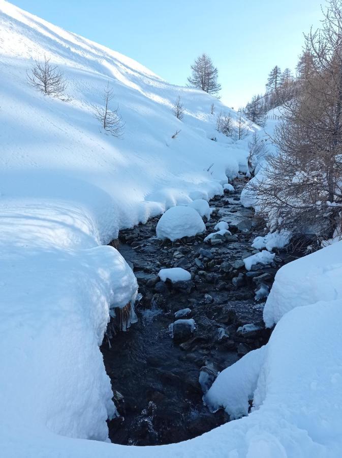 Le Schuss Montagne En Bas Des Pistes