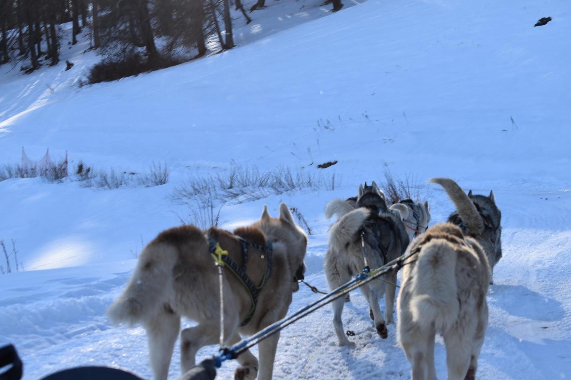 Appartamento Le Schuss Montagne En Bas Des Pistes Vars (Hautes-Alpes)